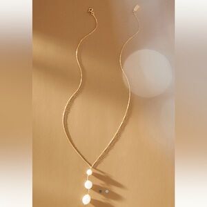 NWT Set & Stones Clove Necklace